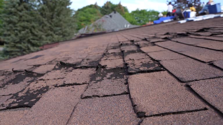 4 Ply Roofing in Cloverdale, VA