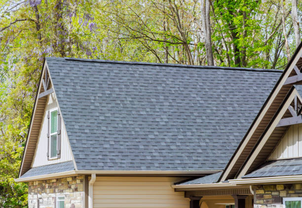 Best Skylights  in Cloverdale, VA